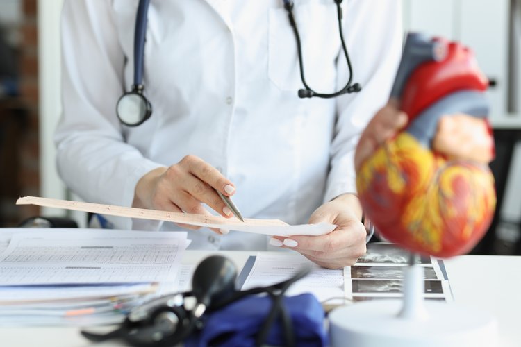 Doctor cardiologist examining cardiogram against background of artificial heart model closeup Doctor cardiologist examining cardiogram against background of artificial heart model closeup. Diagnosis of myocardial infarction and angina pectoris concept