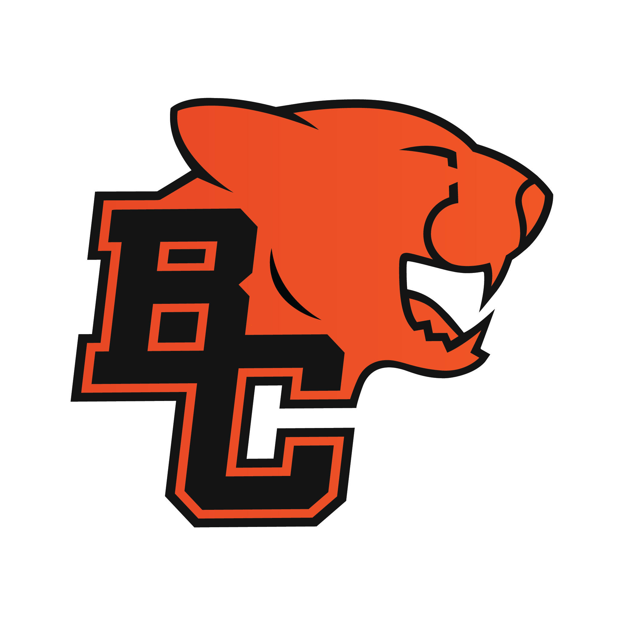 bclionupdated