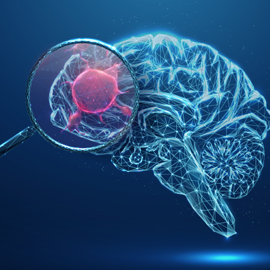 well-longevity-brain guard-hero@2x