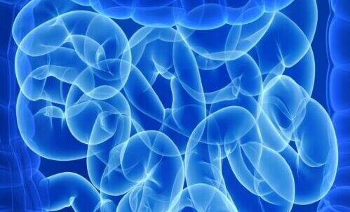 well-longevity-vancouver-false-creek-diagnostics-colon-cancer-screening